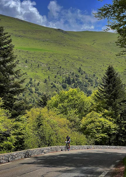 Through the forest on the eastern slopes of Col du Tourmalet