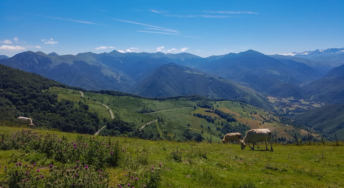 Col d'Aspin Pyrenees